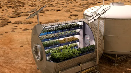 Astronauții vor mânca pentru prima dată salată plantată și crescută pe Stația Spațială Internațională