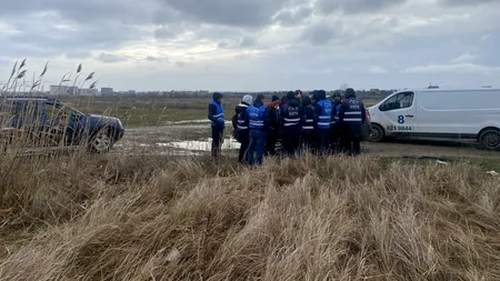 Acțiune ASPA București după tragedia de la Lacul Morii. 12 câini și doi pui au fost capturați și cazați în adăpostul ASPA Bragadiru