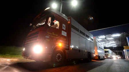 Coloană de camioane de 7 kilometri la Nădlac; autoritățile ungare verifică atent fiecare transport