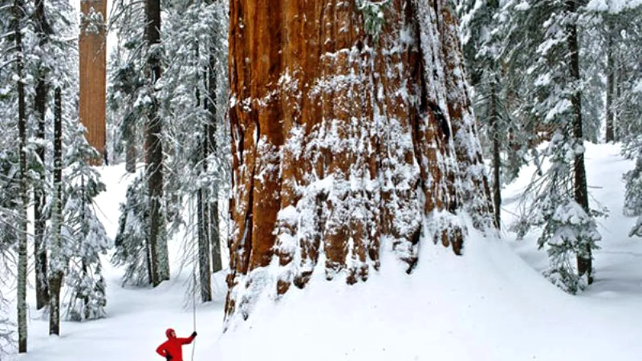 În 3.200 de ani nimeni nu a reușit să-i surprindă măreția. Până astăzi. Ce a reușit acest fotograf este uimitor