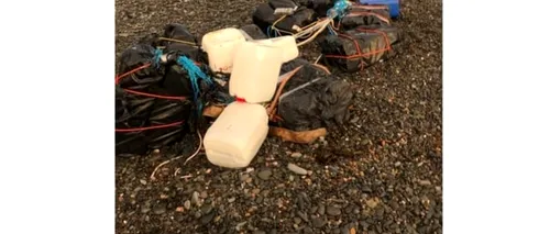 Un bărbat a descoperit 30 de pachete cu cocaină pe o plajă, în timp ce își plimba câinii. Ulterior, a aflat că „marfa” valora 100 de milioane de dolari