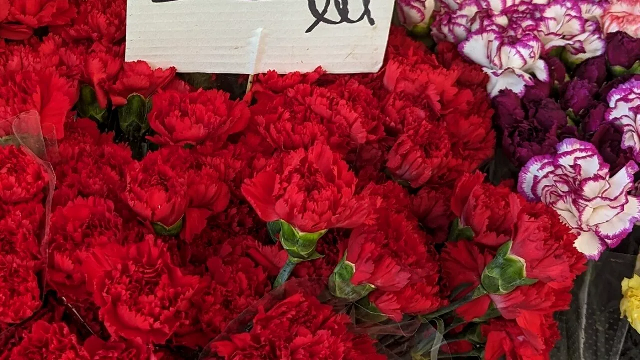 Cu câți lei a ajuns să se vândă o simplă garoafă în București, azi, de 8 Martie