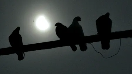 Eclipsa de Soare 2015. Cer înnorat în Capitală: ECLIPSA sau E-LIPSA? 