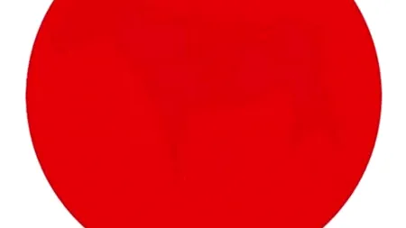 TESTUL ZILEI: poți distinge imaginea din bulina roșie?