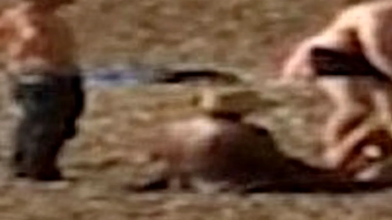 SEX pe LITORAL! IMAGINI surprinse în PLINĂ ZI! Mărește fotografia să vezi DETALIUL care le-a scăpat!