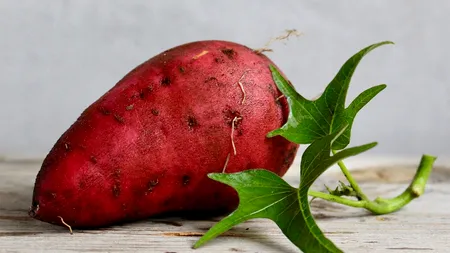 Cartoful chinezesc Yam, „aurul negru” din Buzău! Rivalizează cu trufele scumpe și are aromă de scorțișoară