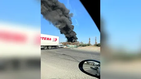 UPDATE. Incendiu de proporții la un centru de colectare a deșeurilor din Chitila | VIDEO