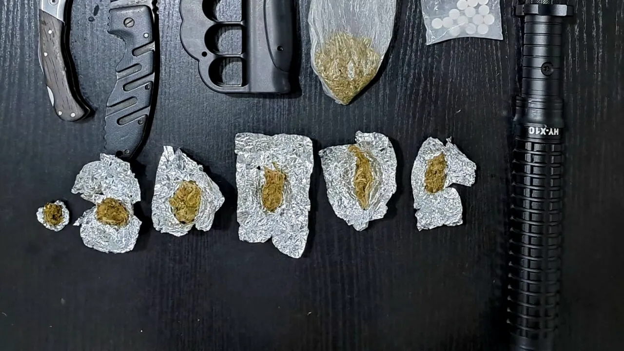 Jandarmii de pe litoral au descoperit un „mic arsenal” asupra unor turiști din Vama Veche. Câte amenzi au dat oamenii legii în weekend