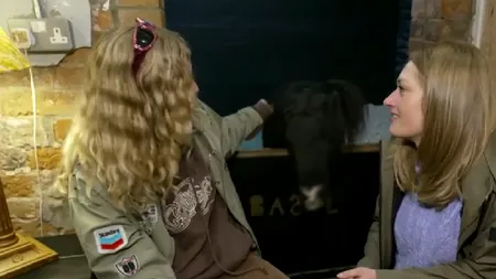 Cât costă o cameră pe care o împarți cu un ponei. Doritorii care dorm în miros de grajd, nu sunt deloc puțini!