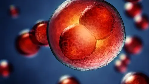 Premieră. Un cercetător suedez a reușit să modifice ADN-ul din embrionul uman. Ce controverse a stârnit