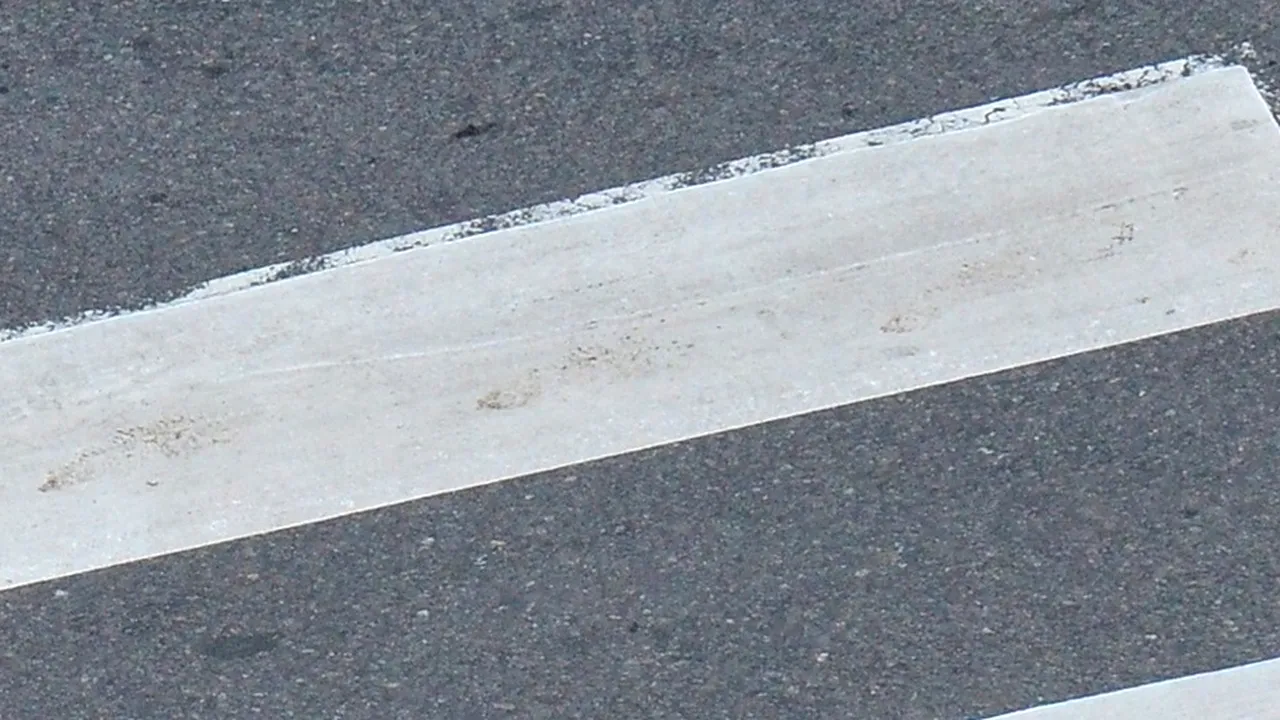 Și-au făcut trecere de pietoni CU BIDINEAUA. Marcaj inedit pe drumul județean ce trece prin Vorona, Botoșani