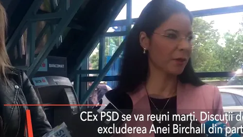 Comitetul Executiv al PSD. Ana Birchall, exclusă din partid UPDATE