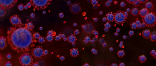 Bilanț coronavirus: Peste 1.600 de noi cazuri COVID-19 în ultimele 24 de ore! Record de pacienți internați la ATI