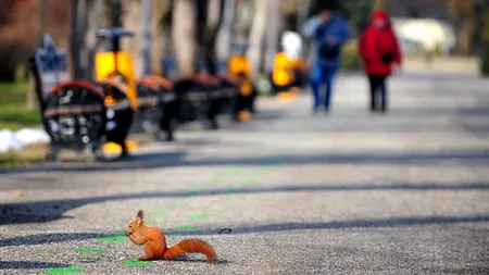 METEO. Cum va fi VREMEA în perioada 20-22 decembrie