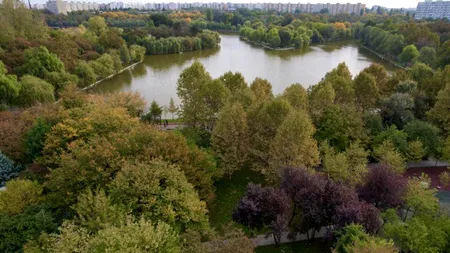 Consilierii liberali din Sectorul 3 îl ACUZĂ pe Nicușor Dan că nu intervine pentru salvarea Parcului IOR