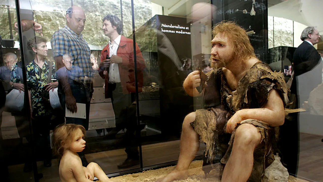 Oamenii de Neanderthal erau dreptaci și înzestrați probabil cu darul vorbirii - STUDIU