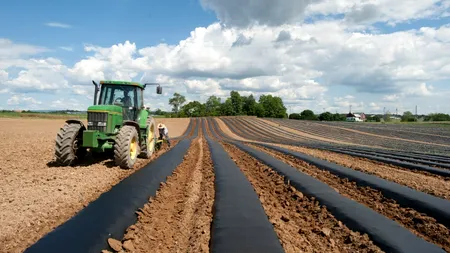 Cine e ardeleanul care face performanță prin 