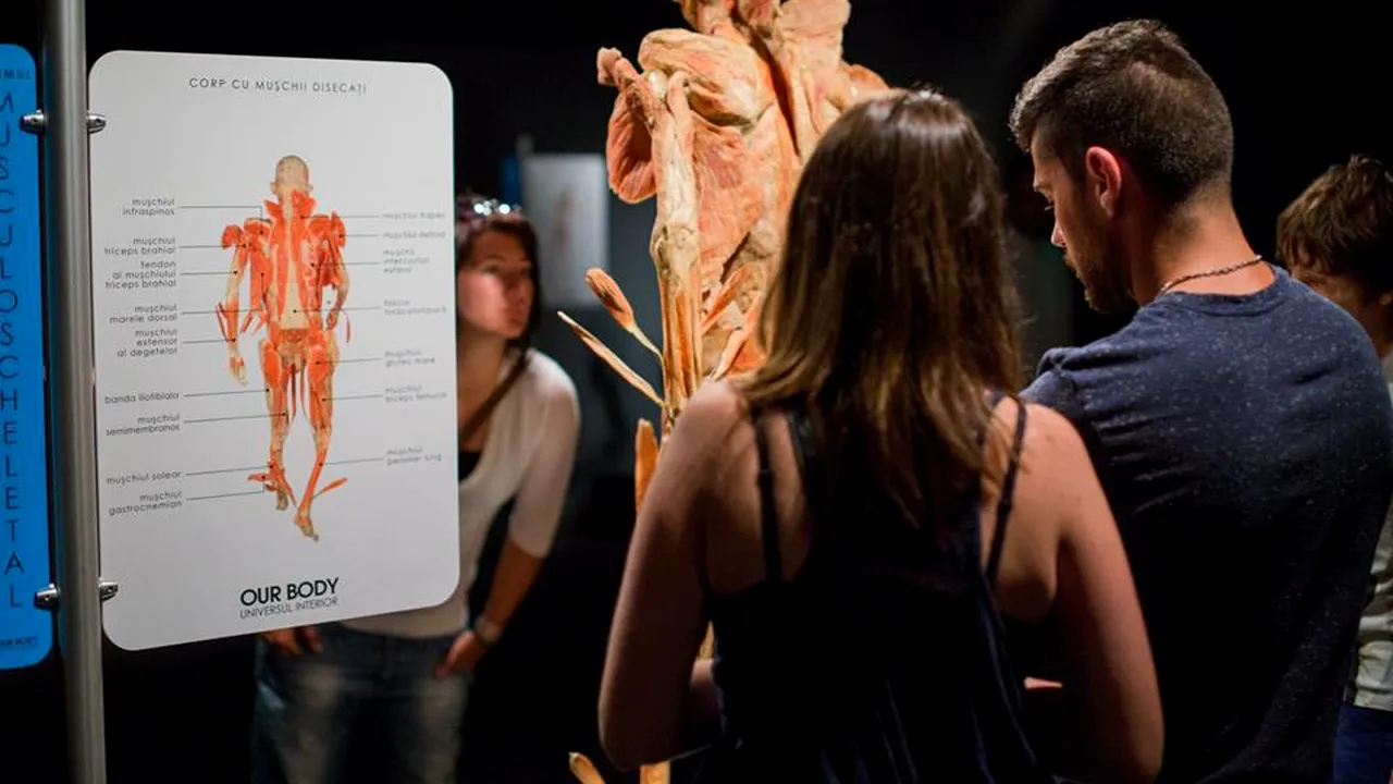 Plângere penală împotriva expoziției de corpuri umane 