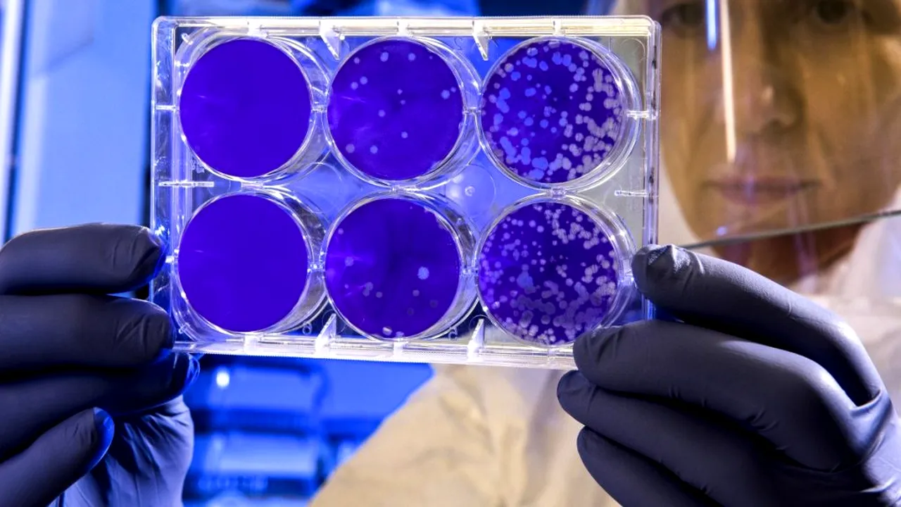 Studiu Covid-19. Persoanele infectate au imunitate la noul coronavirus cel puțin 8 luni!