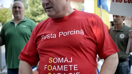 Pesta porcină NU E SINGURA epidemie care amenință gospodăriile. Cum pot fi prevenite BOLILE care golesc buzunarele fermierilor