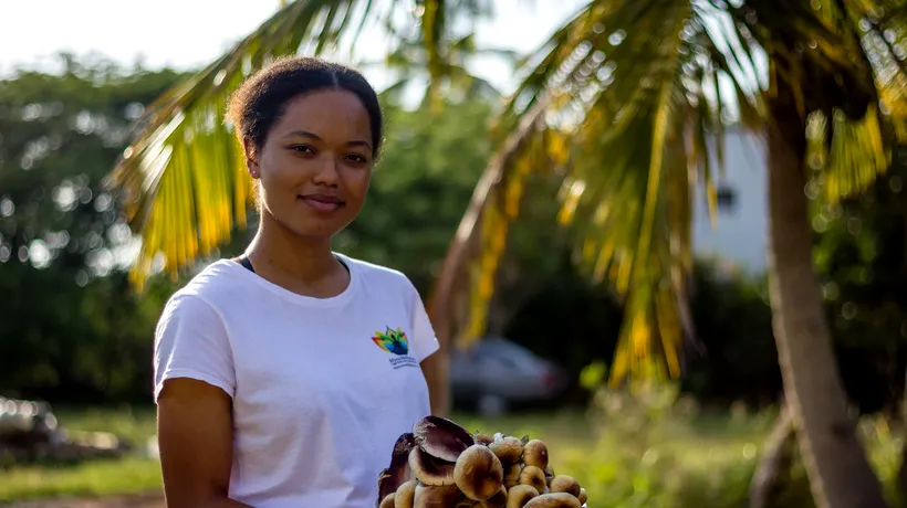 Ce sunt „ciupercile magice”, brandul de țară în Jamaica. Turiștii, ademeniți cu produse psihedelice care sunt interzise în Europa și SUA