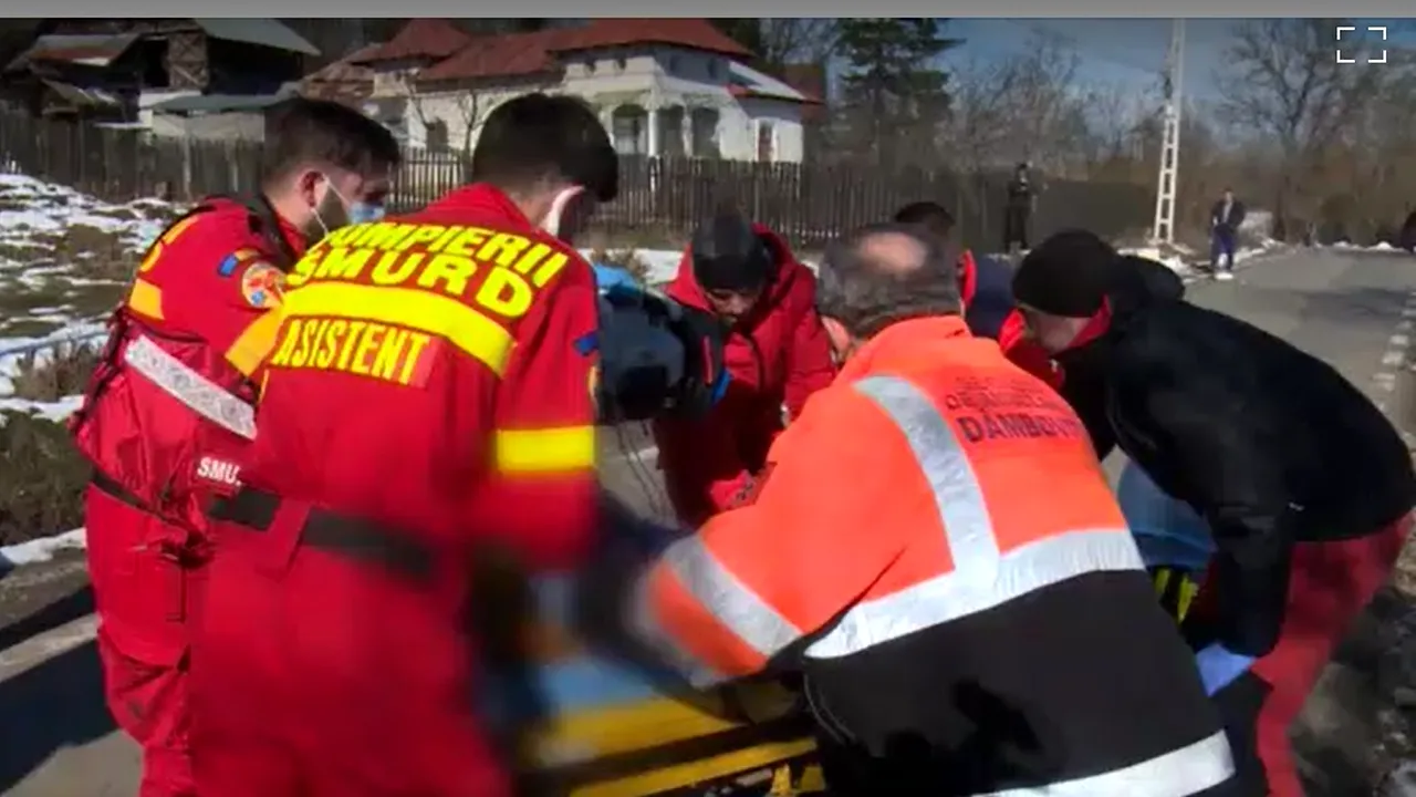 O bătrână din Dâmbovița a fost ATACATĂ de câinele din gospodărie, când încerca să îl bage în lanț. „A muşcat-o de mâini și de picioare”