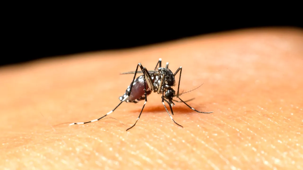 INSP: Încă un caz de infectare cu West Nile a fost depistat în România