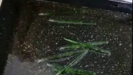 Tendință periculoasă devenită virală în Coreea de Sud. Oamenii sunt avertizați să evite să mănânce SCOBITORI prăjite