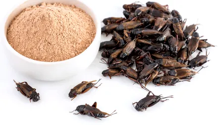 Produsele care conţin INSECTE vor ajunge în curând pe rafturile magazinelor din România. Ce trebuie să scrie pe etichete pentru a putea fi recunoscute