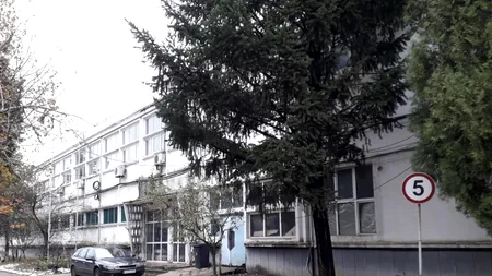 SAPE: Centrala în cogenerare din Titan poate începe să fie construită de la anul. De unde vine finanțarea