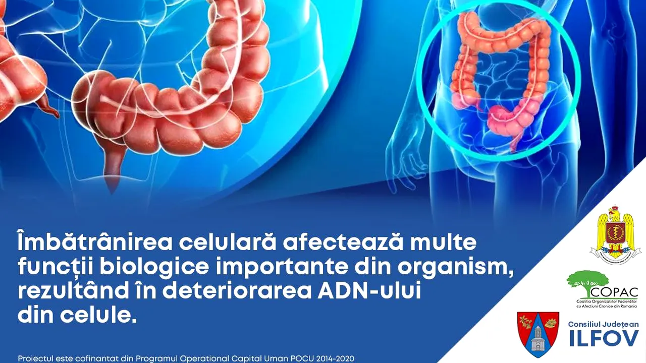 Consiliul Județean Ilfov desfășoară un program de prevenție, depistare precoce, diagnostic și tratament precoce al leziunilor precanceroase colorectale (P)