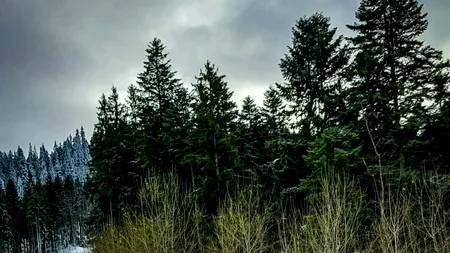 Cât costă o zi la schi în Poiana Brașov. Suma nu e deloc mică!