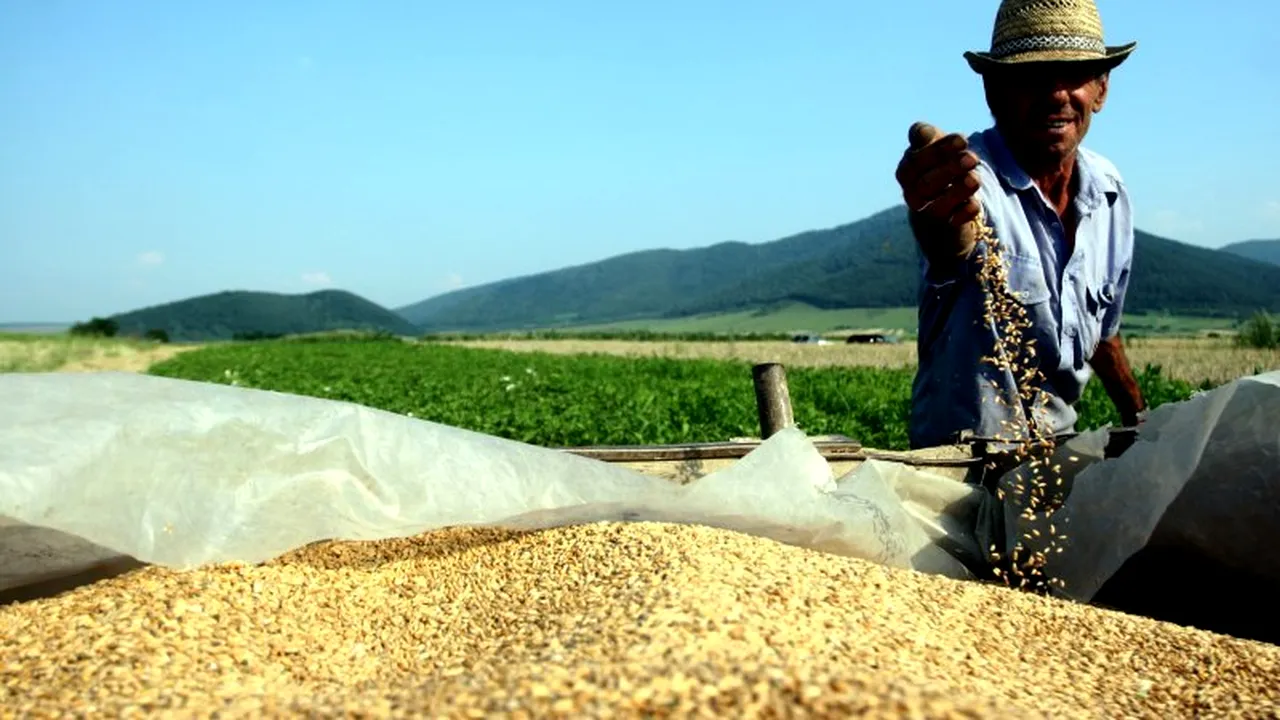 Decât codaș la oraș, mai bine la fermă fruntaș. Câți români lucrează în agricultură și cât câștigă