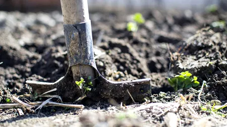 Descoperire PERICULOASĂ făcută în grădină de un bărbat care făcea lucrări agricole