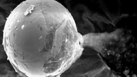 Descoperirea care ar putea revoluționa știința și zborurile spațiale: „Este Sfântul Graal al fizicii de înaltă presiune