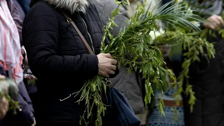 Peste 1,8 milioane de români își sărbătoresc onomastica de FLORII. Cele mai întâlnite prenume