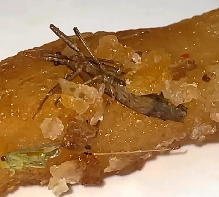 Ți se întoarce stomacul pe dos! Ce a găsit o clientă în cartofii prăjiți comandați de la KFC: „Nu mai mănânc niciodată de la ei!