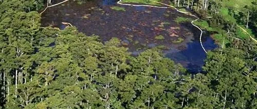 O groapă de 121 de metri adâncime a înghițit o pădure din Louisiana. Oamenii au fost EVACUAȚI și se tem de o EXPLOZIE
