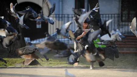 PROGNOZA METEO. Cum va fi vremea în București și în țară