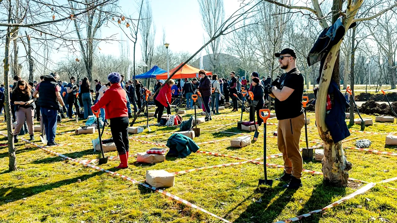 Peste 15.000 de arbori sunt plantați în acest weekend în Parcul Tineretului din București