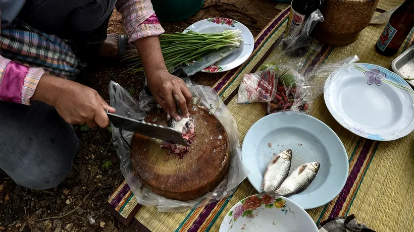 DELICATESA thailandeză care te poate îmbolnăvi de cancer dintr-o singură gustare. Localnicii se împotrivesc interzicerii sale