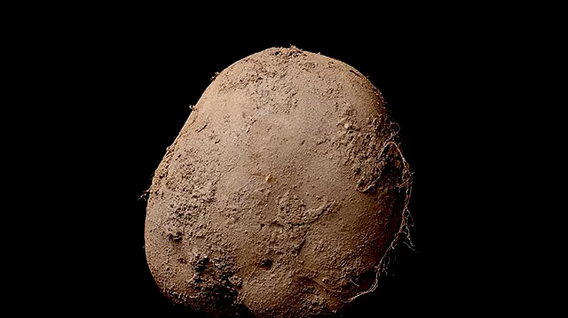 Cum arată „cartoful de 1 milion de euro