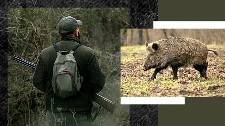 EXCLUSIV | Braconierul din Polovragi, un cunoscut afacerist local: ”Conexiuni la Primărie, amenință paznicii și vrea să mușamalizeze totul”