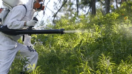 Adrian Streinu Cercel: Zilnic, la Institutul Matei Balș, ajung 10 oameni mușcați de căpușe