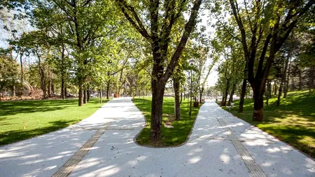 Fițuici cu Iohannis care anunță redeschiderea Parcului Moghioroș, distribuite în Sectorul 6. Reacția ACL