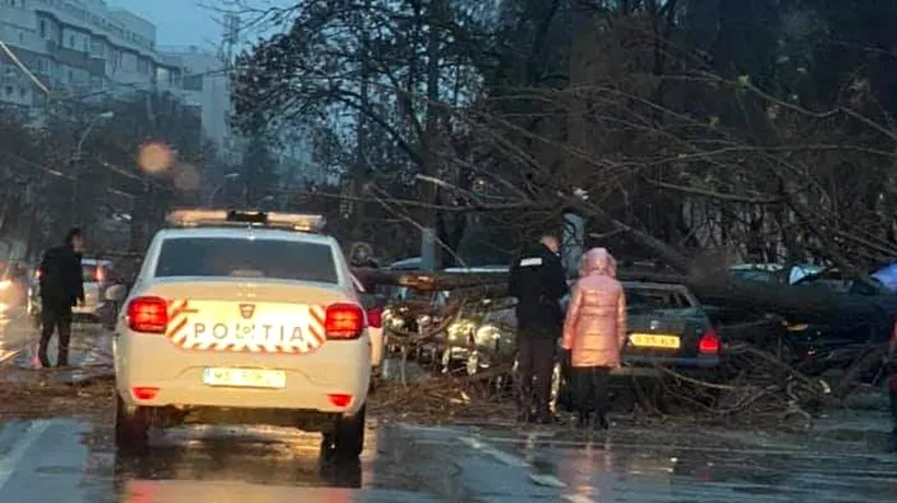 Încă un copac a căzut în Capitală peste trei mașini, pe Calea Giulești!