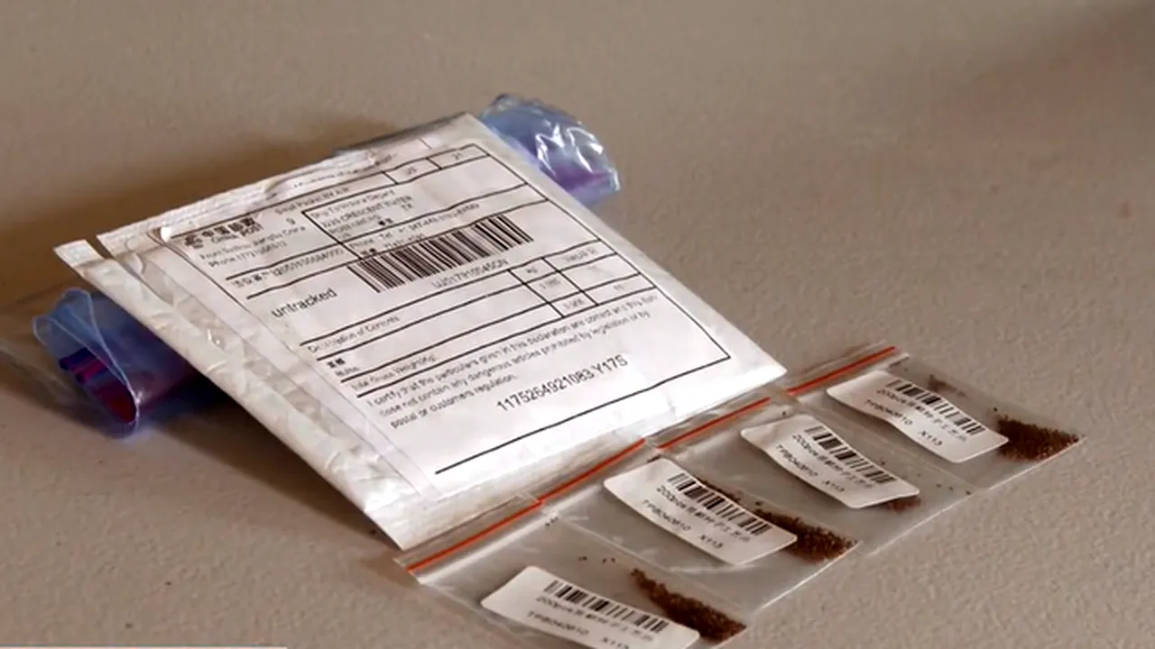 Semințe misterioase, trimise ilegal din China în mii de cutii poștale