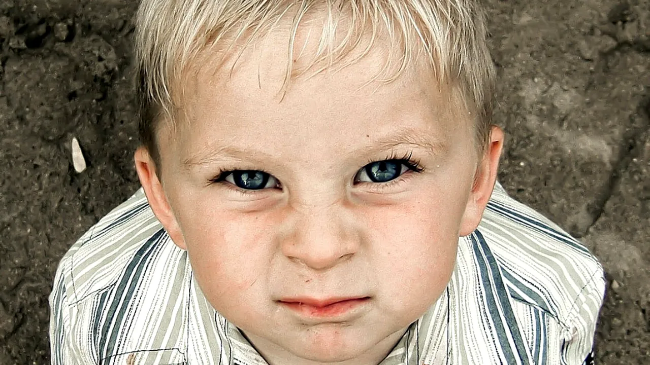 Copiii încăpățânați au cele mai mari șanse să devină adulți de succes