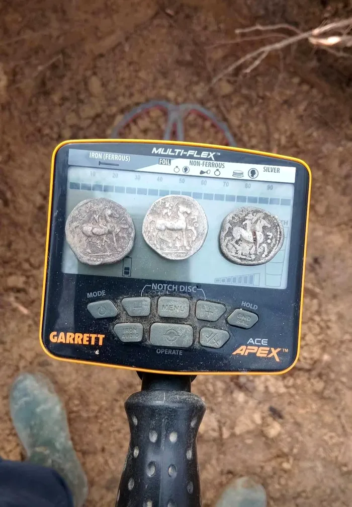 Comoara din Gorj. Un bărbat a descoperit monede grecești din epoca lui Filip al II-lea