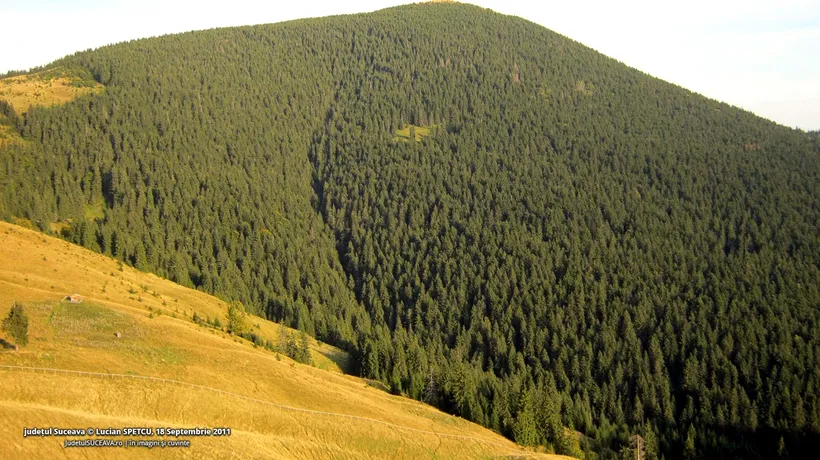 Fondul Bisericesc al Bucovinei a cerut 166.000 de hectare de pădure. Decizia instanței supreme este definitivă și irevocabilă